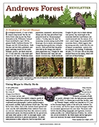 Spring 2015 newsletter